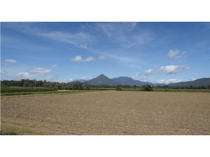 122 Littles Road, Gordonvale QLD 4865