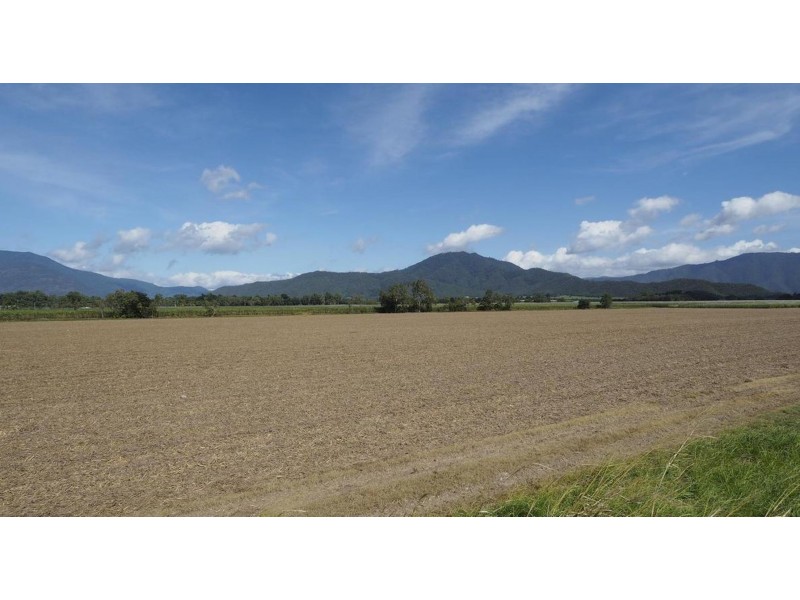 122 Littles Road, Gordonvale QLD 4865