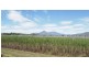 122 Littles Road, Gordonvale QLD 4865