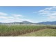 122 Littles Road, Gordonvale QLD 4865