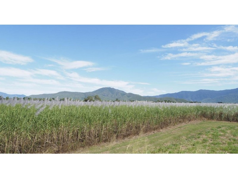 122 Littles Road, Gordonvale QLD 4865