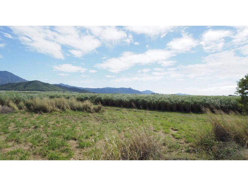 122 Littles Road, Gordonvale QLD 4865