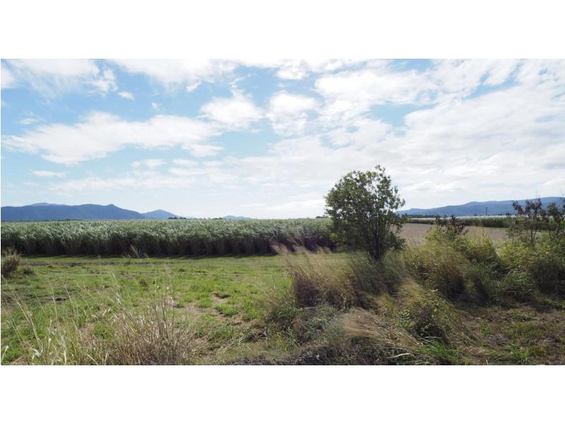 122 Littles Road, Gordonvale QLD 4865