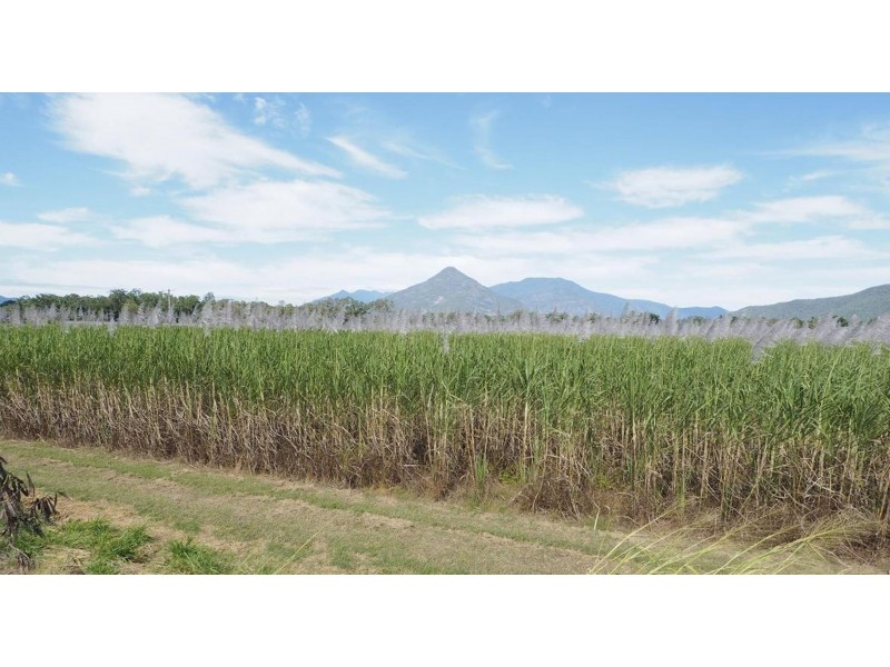 122 Littles Road, Gordonvale QLD 4865