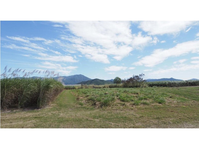 122 Littles Road, Gordonvale QLD 4865