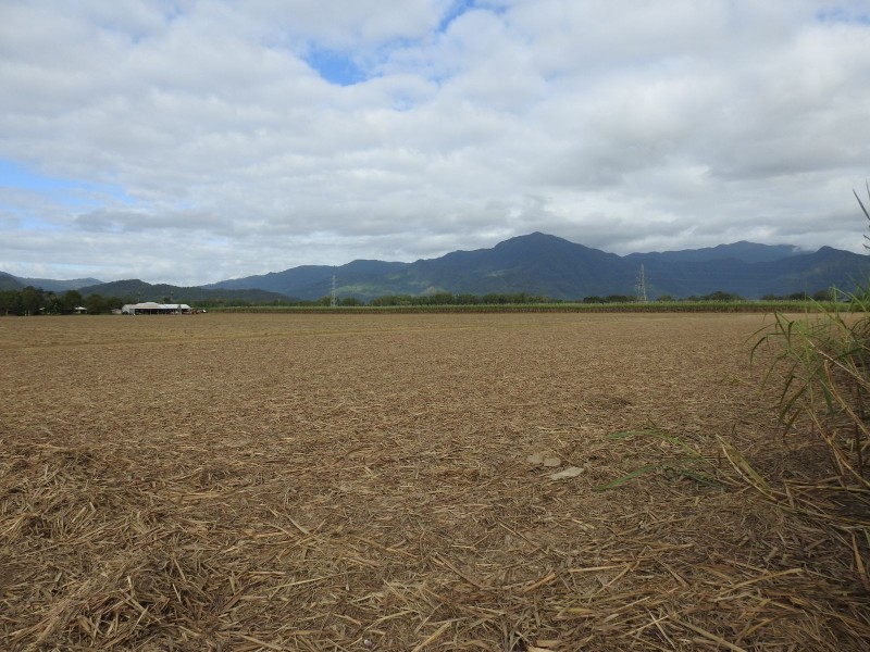 Wrights Creek QLD 4869