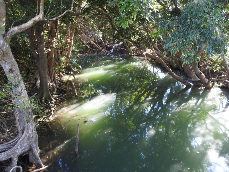 Wrights Creek QLD 4869