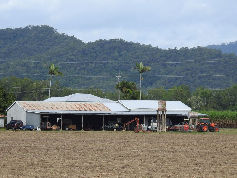 Wrights Creek QLD 4869
