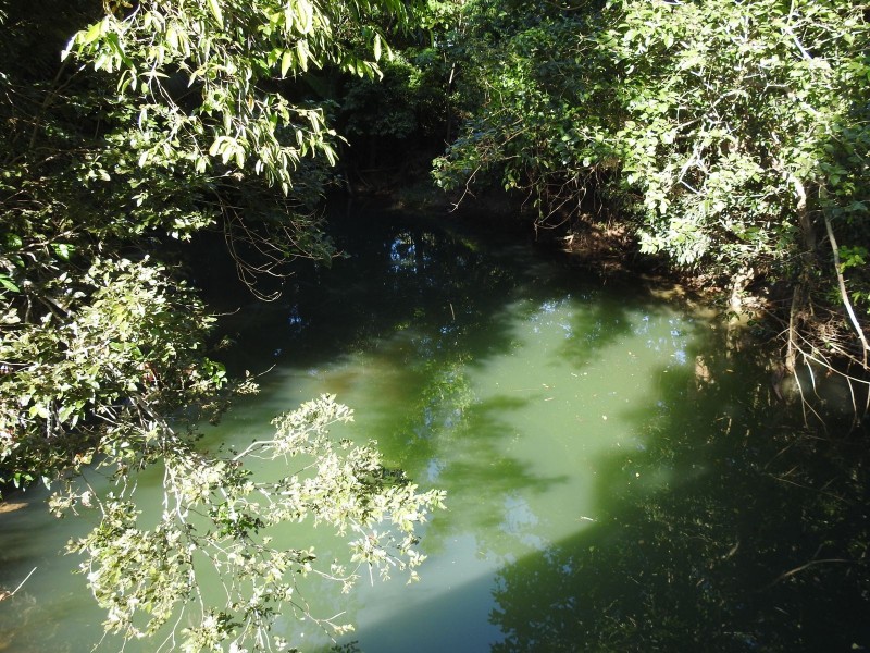 Wrights Creek QLD 4869
