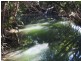 Wrights Creek QLD 4869