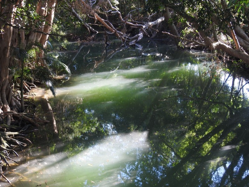 Wrights Creek QLD 4869