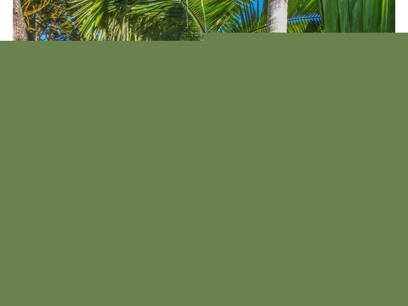 17 Gilmore Street, Bentley Park QLD 4869