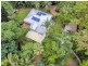 199 Harvey Road, Redlynch QLD 4870