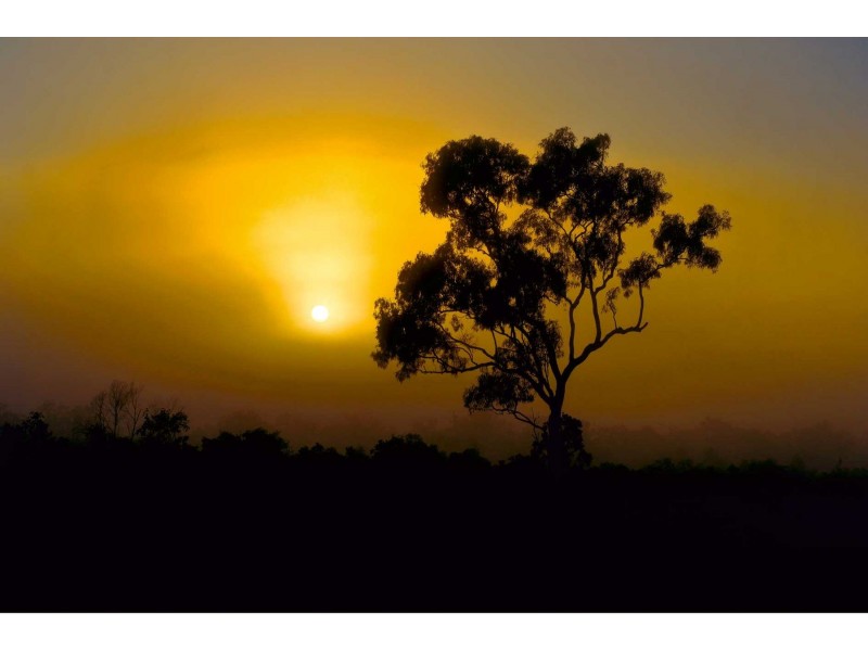 152 Shiptons Flat Road, Cooktown QLD 4895