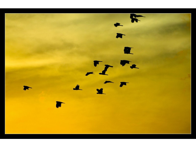 152 Shiptons Flat Road, Cooktown QLD 4895