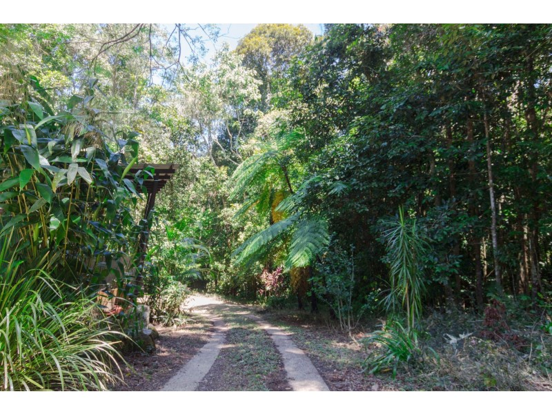 3067R Gillies Range Road, Lake Barrine QLD 4884