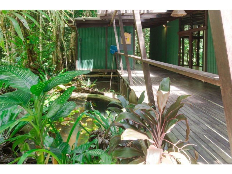 3067R Gillies Range Road, Lake Barrine QLD 4884