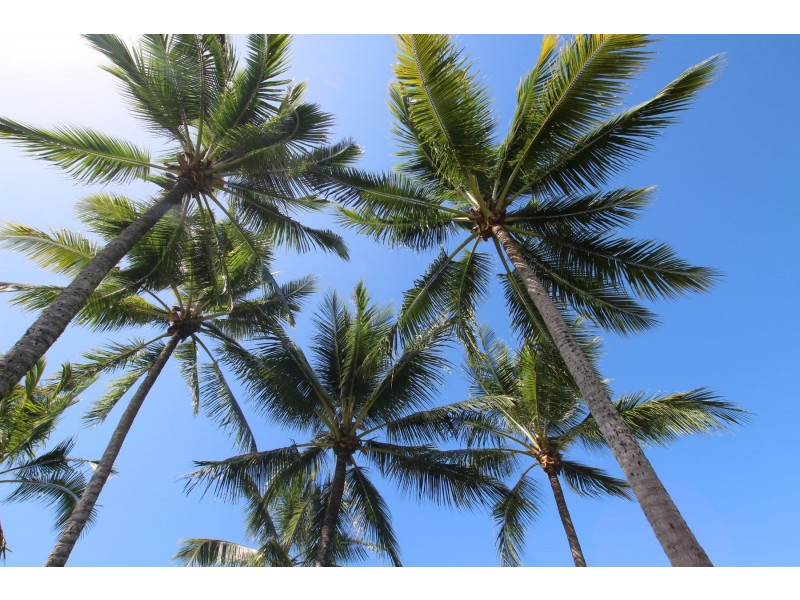 603/174 Grafton Street, Cairns City QLD 4870