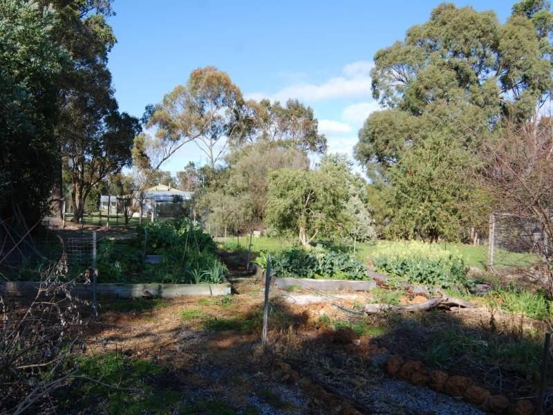 41 Beech Road, Narrikup WA 6326