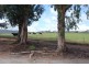 1/1172 Nanarup Road, Nanarup WA 6330