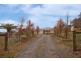6 Hanna Street, Forreston SA 5233