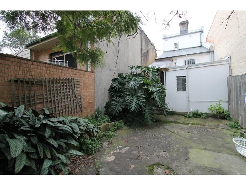 41 Little Mount Street, Pyrmont NSW 2009