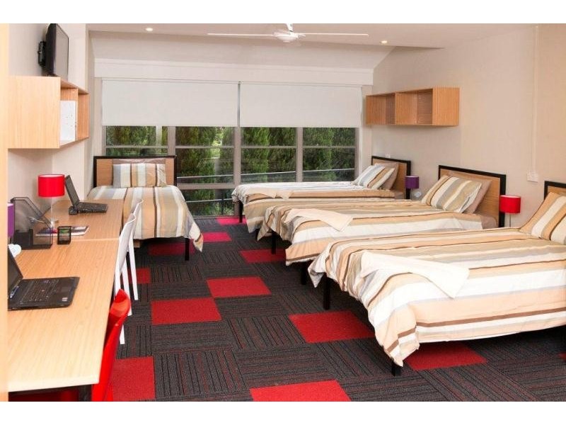 38 Burton Street, Concord NSW 2137