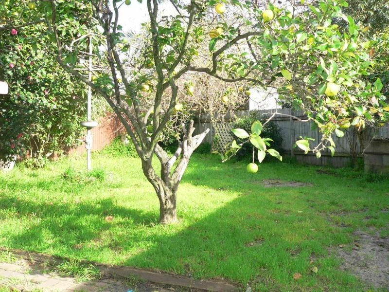 6 Loch Maree St, Maroubra NSW 2035