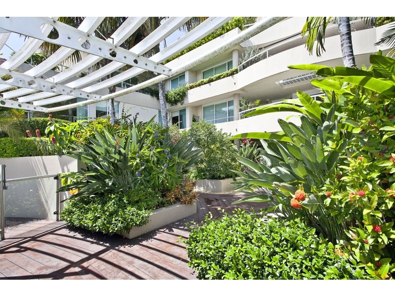 P1/515 New South Head Road, Double Bay NSW 2028