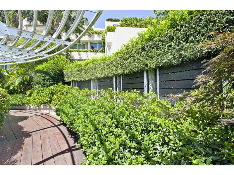 P1/515 New South Head Road, Double Bay NSW 2028