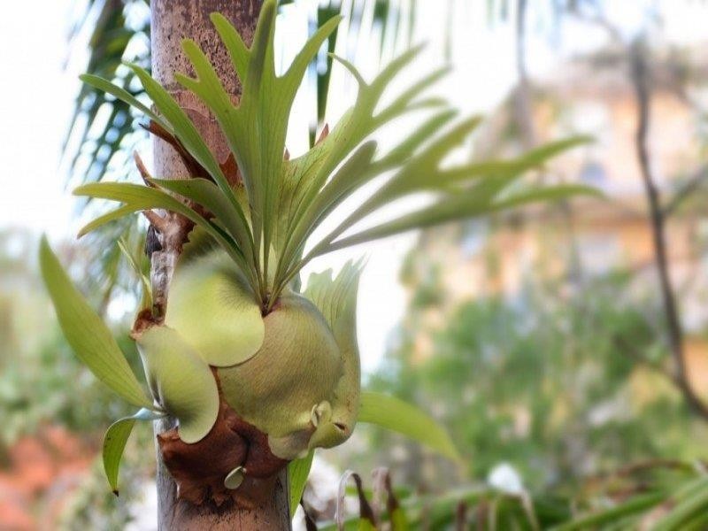 15/3 Alexander Street, Coogee NSW 2034