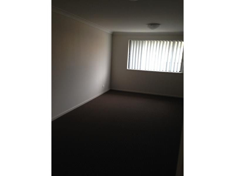 3 Millbrook Road, Cliftleigh NSW 2321