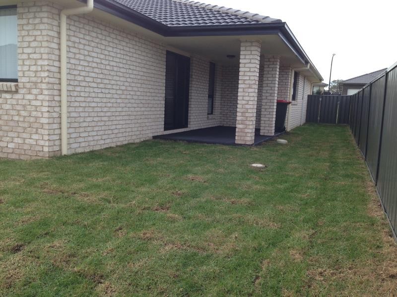 3 Millbrook Road, Cliftleigh NSW 2321