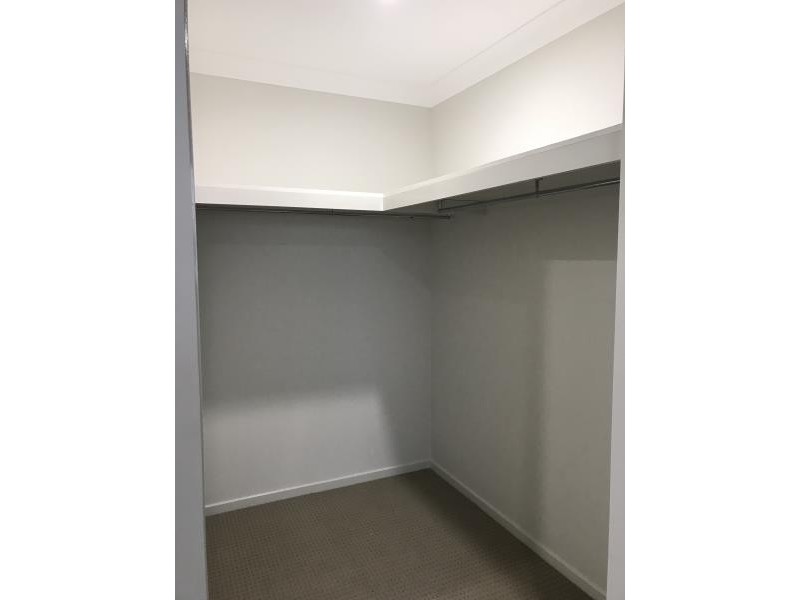 3 Firetail Street, Thornton NSW 2322