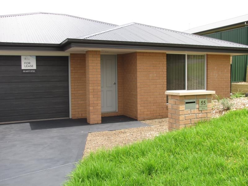 55 Henry Dangar Drive, Muswellbrook NSW 2333