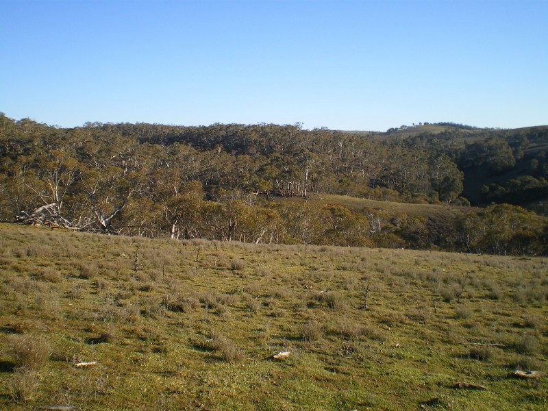 Lot 6 Jones Plain Road, Shannons Flat NSW 2630