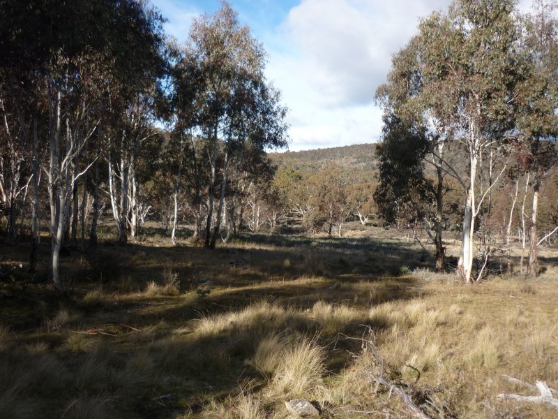 Lot 128 Ashvale Road, Adaminaby NSW 2629