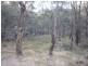 Lot 128 Ashvale Road, Adaminaby NSW 2629
