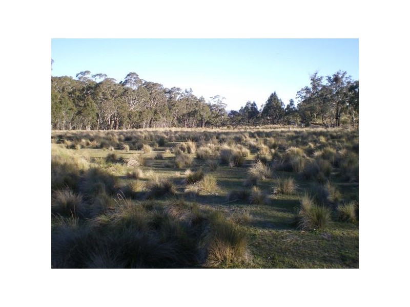 Lots 68 & Lot 1 Buckenderra Road, Middlingbank NSW 2630