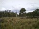 Lot 98 Badja Road, Countegany NSW 2630