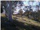 456 Buckenderra Road, Buckenderra NSW 2630