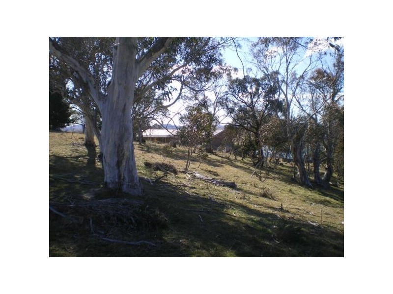 456 Buckenderra Road, Buckenderra NSW 2630