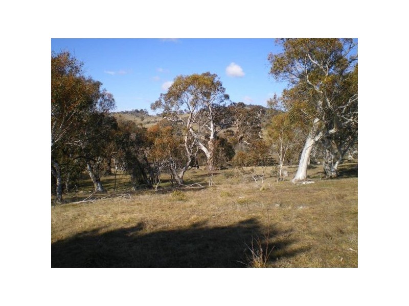 456 Buckenderra Road, Buckenderra NSW 2630