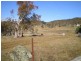456 Buckenderra Road, Buckenderra NSW 2630