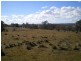 456 Buckenderra Road, Buckenderra NSW 2630
