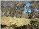 Lot 86 Undoo Fire Trail, Countegany NSW 2630