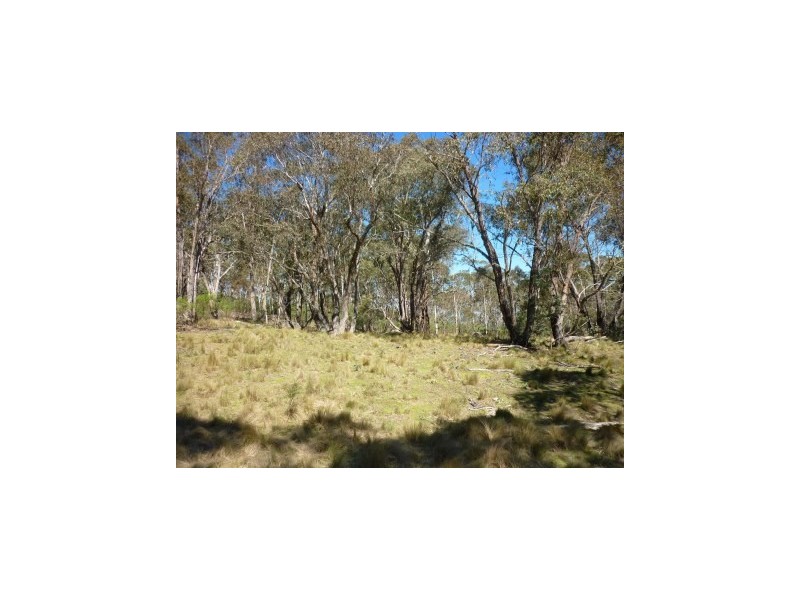 Lot 86 Undoo Fire Trail, Countegany NSW 2630