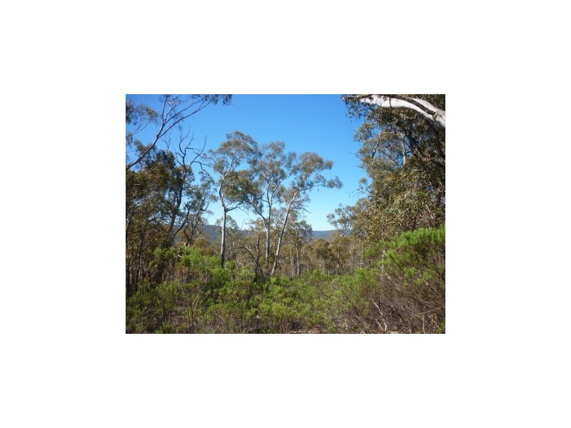Lot 86 Undoo Fire Trail, Countegany NSW 2630