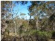 Lot 86 Undoo Fire Trail, Countegany NSW 2630