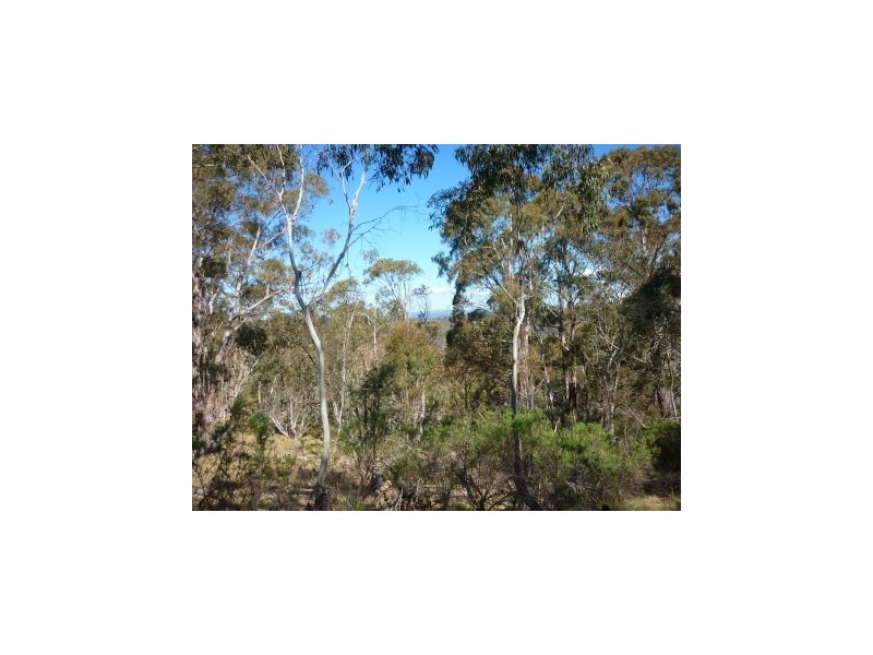 Lot 86 Undoo Fire Trail, Countegany NSW 2630